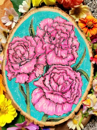 Pink carnations 