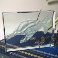 Image 4 of Turtle Glass Block