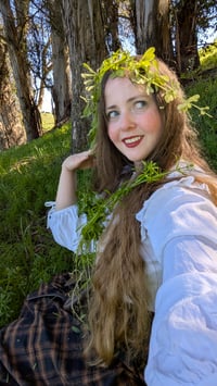 Image 3 of Cleavers Tincture