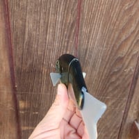 Image 3 of 6" Roof gill (pectoral fins)