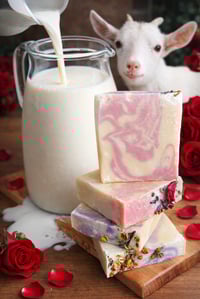 Rose Milk Harmony 