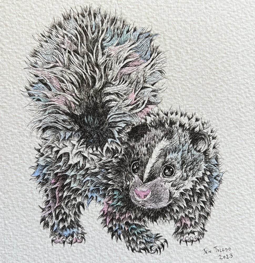 Image of Baby Skunk
