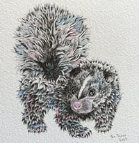 Image 1 of Baby Skunk
