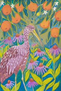 Image 3 of FLA Native Birds Cards | set of 5
