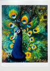 Peacock Art Print