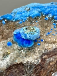 Image 2 of Rare Cyanotrichite On Quartz Matrix Specimen | Guizhou China