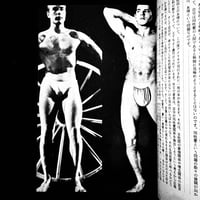 Image 8 of SALE2 HOMOSEX ISSUE