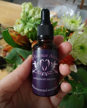 Image of Motherwort tincture