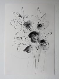 Hellebores VIII