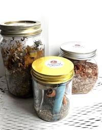 SPIRITUAL JARS