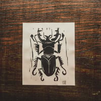 Image 1 of Lucanus 