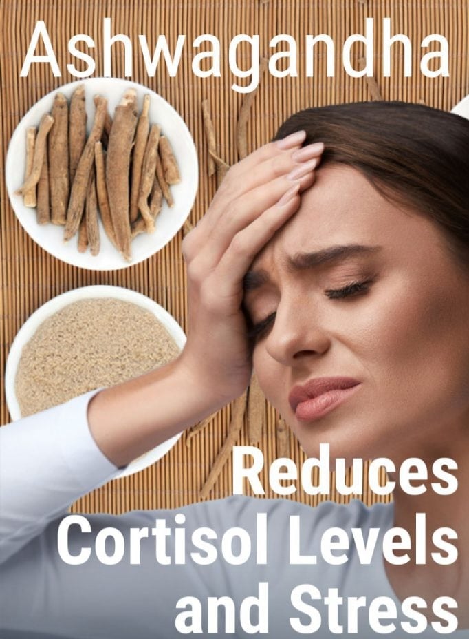 MOOD & GAINS Ashwagandha Adaptogen Root.  Fertility-Stamina-Weight Gain-Anemia-PCOS