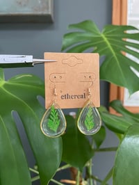 Image 4 of Golden Fern Earrings