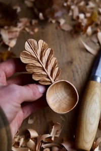 Image 6 of Oak Leaf Coffee  Scoop