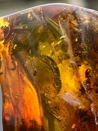 Image 5 of Ant and Sider trapped in Amber. 