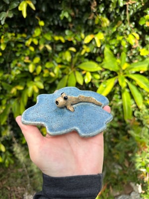 Image of Mud skipper trinket dish