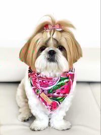 Image 2 of Melon Madness - Pet Bandana