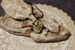 Image of Ball Python Collection