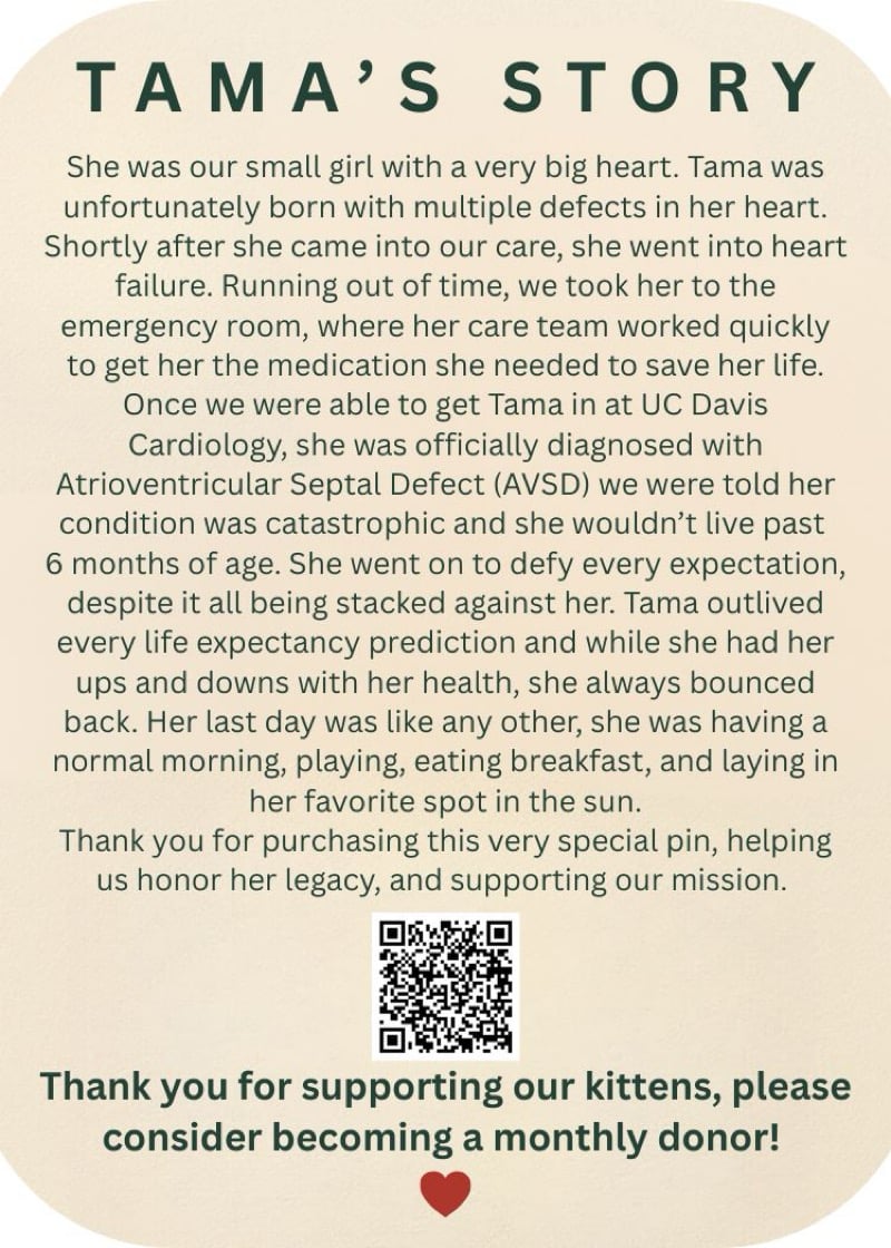 Image of Pre-Order Holiday Tama Pin