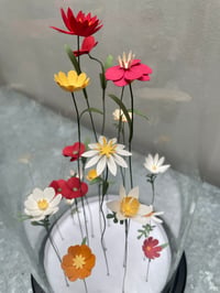 Image 3 of Jardin intérieur, fleurs sous cloche XL -3