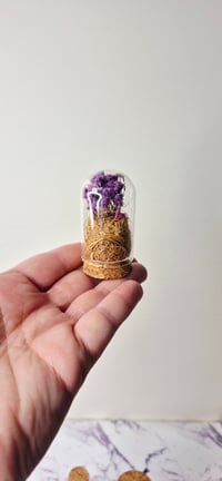 Image 2 of DIY Preserved Flower Workshop Kit