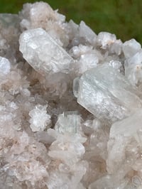 Image 10 of Green Apophyllite Cluster Specimen #1843