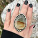 Image of Cripple Creek Picture Jasper Handmade Sterling Silver Statement Ring