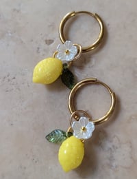 Image 1 of Créoles fleurs de citronnier et citrons 