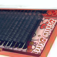 Image 3 of 𝕋𝕙𝕖 𝕃𝕒𝕤𝕙 𝔻𝕖𝕡𝕥. (DD)