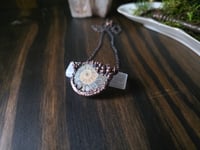 Image 2 of Ammonite #1