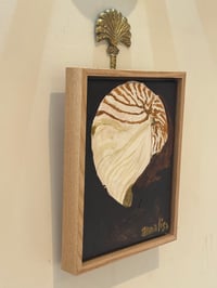 Image 5 of Island Shell Original