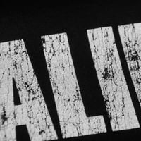 Image 3 of The Stalin Japanese Punk Band Premium T-Shirt – Washed Cotton Unisex Hardcore Tee