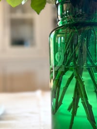 Image 4 of Bocal de pharmacie vert