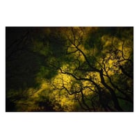 Image 5 of Yasuhiro Ogawa - Lost in Kyoto (Signed)