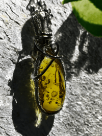 Image 1 of Amber Enhydro