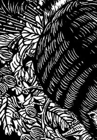 Image 4 of Raccoon & Gooseberries