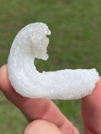 Image 13 of Ram’s Horn Selenite, Gypsum Specimen | Guizhou China #3050