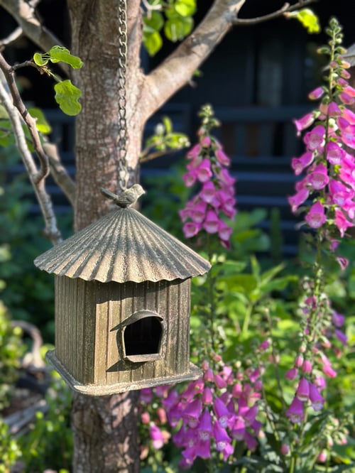 Image of Hanging Birdhouse Short