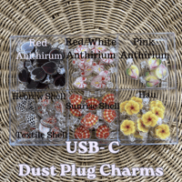 Image 3 of Dust Plug Charm (USB-c Charger)
