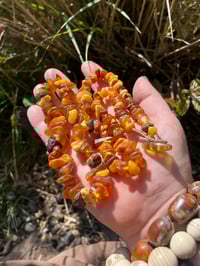 Image 2 of Baltic Amber Necklace 
