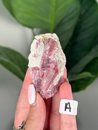 Image 1 of PINK TOURMALINE IN FELDSPAR CLUSTERS -PAKISTAN-