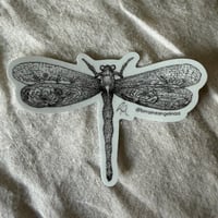 Image 23 of Vinyl Stickers 