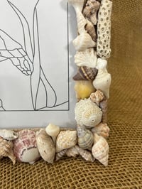 Image 3 of Seashell Picture Frame 8” x 10” #2