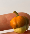 Miniature pumpkins 1:12 scale