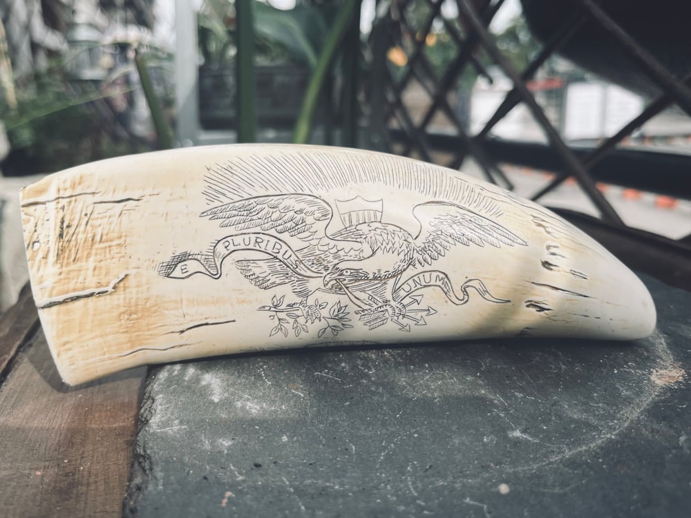 Image of Replica Scrimshaw
