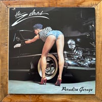 The Zebras - Paradise Garage