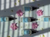Cloud Mini Mists