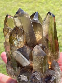 Image 14 of Smoky Citrine Points Cluster #1876
