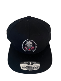 Image 1 of Hell and Back SnapBack cap