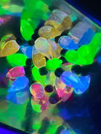 Image 1 of Lite Brite Pearl